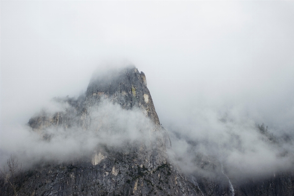 Wald rock berg schnee Foto