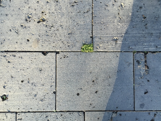 Rock wood texture sidewalk Photo