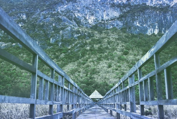 木 道 山 橋 写真