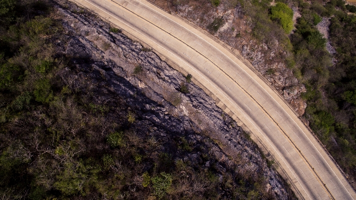 Tree track road highway Photo