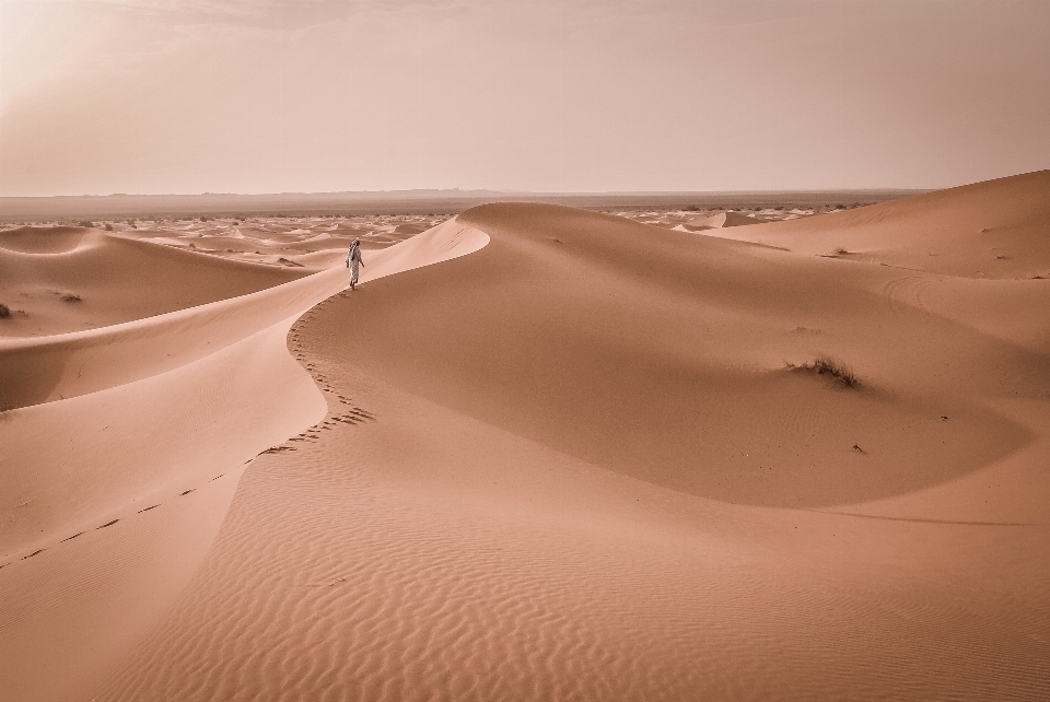 Landscape sand desert dune