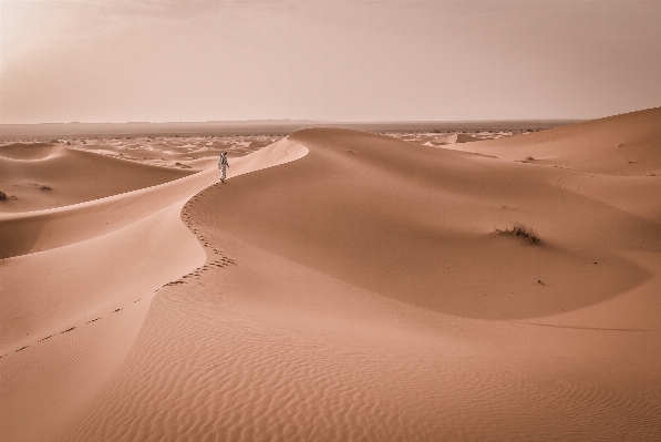 Landscape sand desert dune Photo