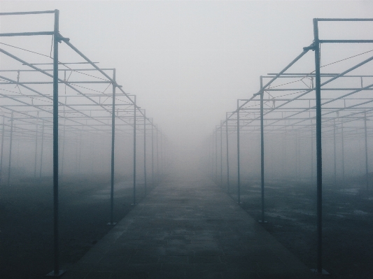 Light cloud structure fog Photo