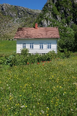 Grass mountain field farm Photo