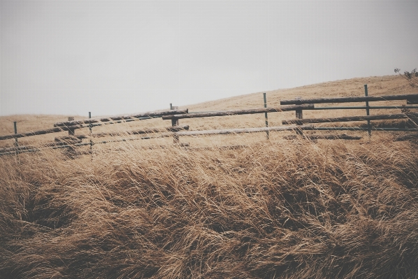 Landscape grass sand snow Photo