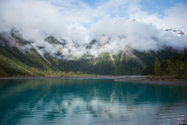 Landscape tree water nature Photo