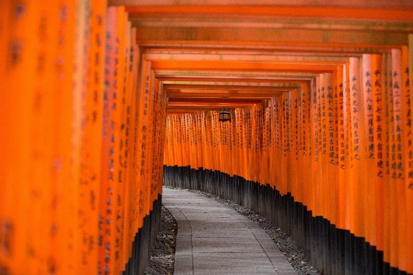 木 ベンチ 年 壁 写真