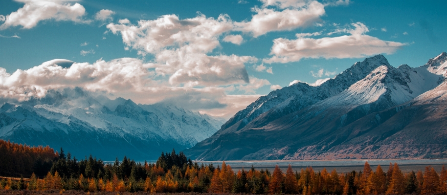 Landscape tree nature wilderness Photo