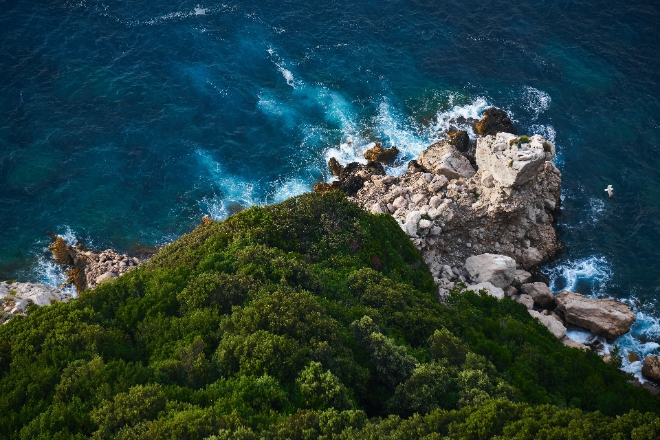 Sea coast water rock