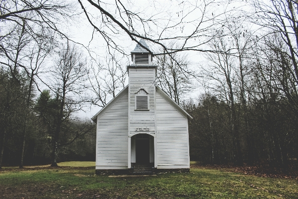 Forest wood house building Photo