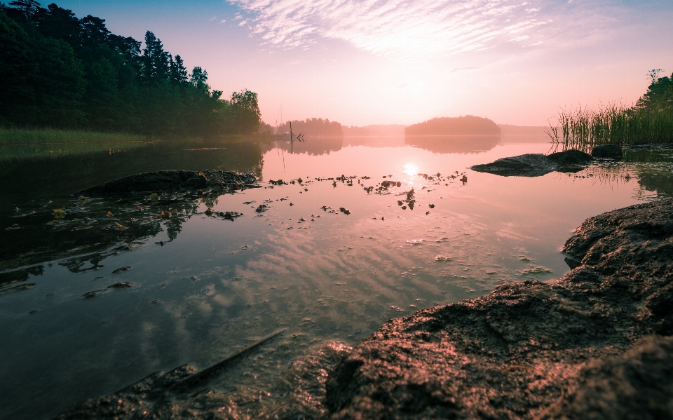 景观 海 海岸 水