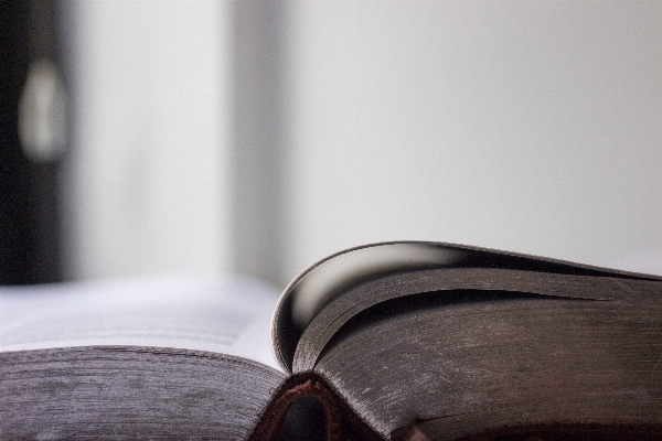 Book wood leather glass Photo