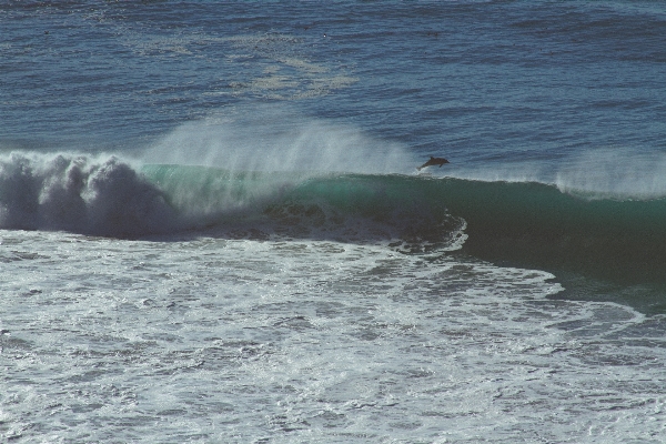 Beach sea coast water Photo