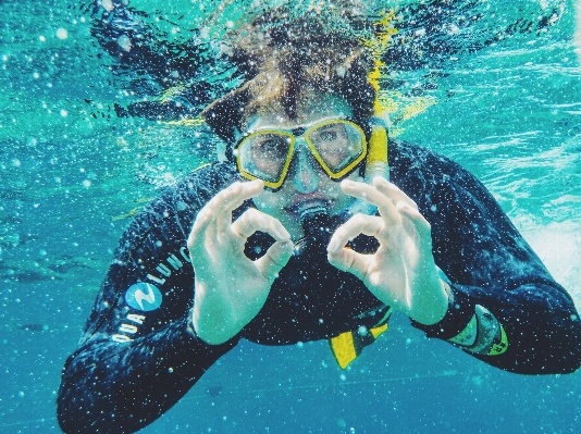 Recreation diving underwater biology Photo