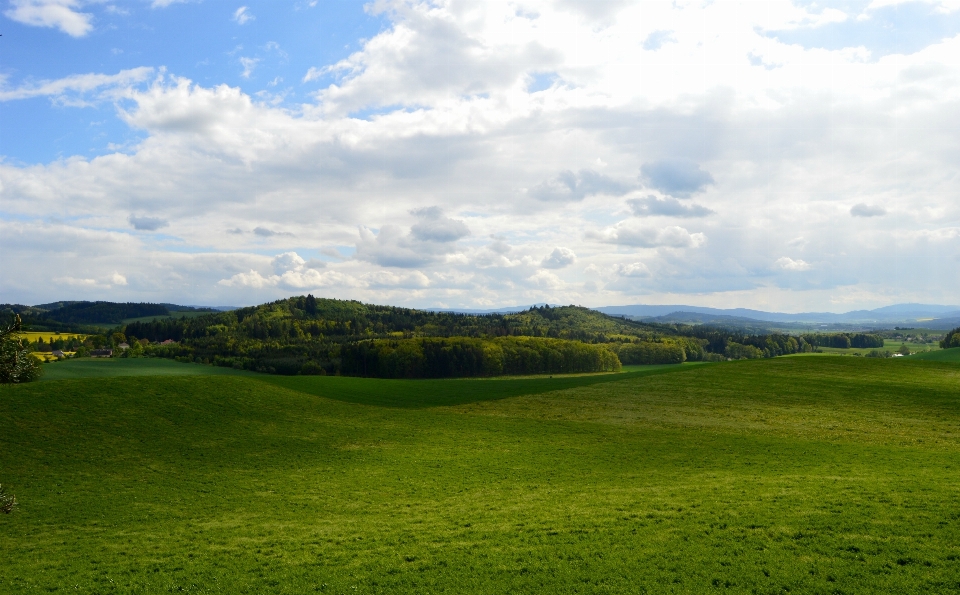 Landscape nature grass horizon