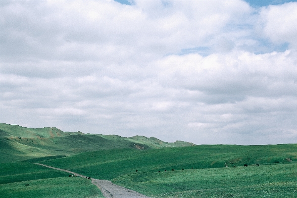 Landscape nature grass horizon Photo