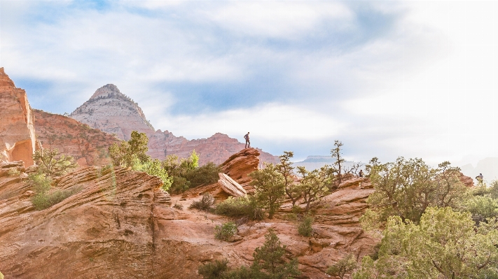 Tree rock mountain cloud Photo