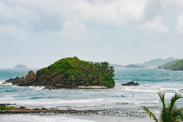 Beach sea coast tree Photo