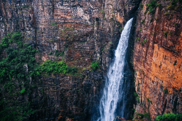 Water forest rock waterfall Photo