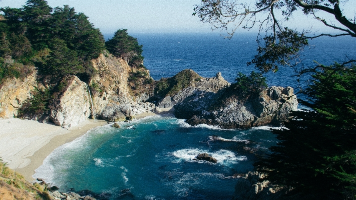 Beach sea coast tree Photo