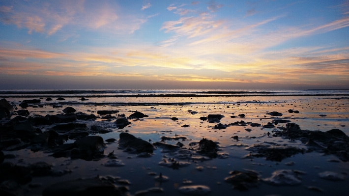 Beach sea coast sand Photo