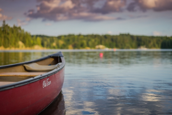 Sea water sunset boat Photo