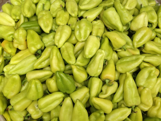 植物 皿 食べ物 生産 写真