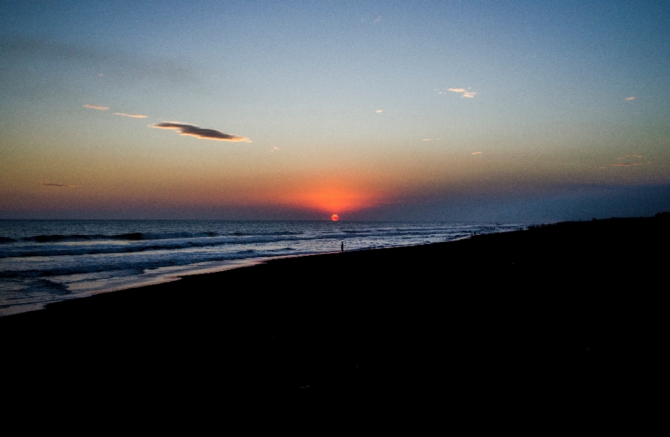 Beach sea coast ocean