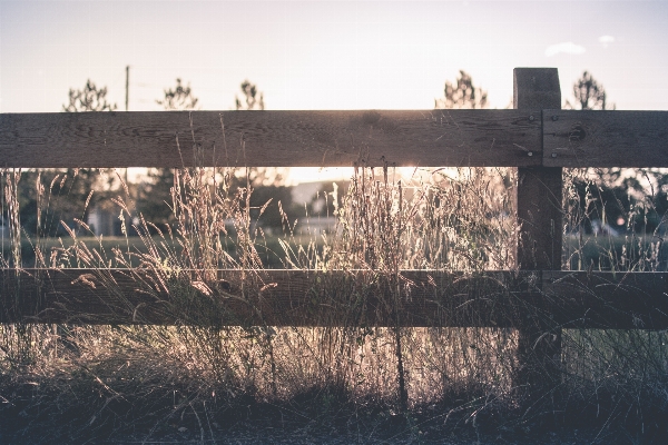 Fence cloud sun sunrise Photo