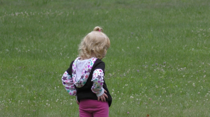 Grass lawn meadow play Photo