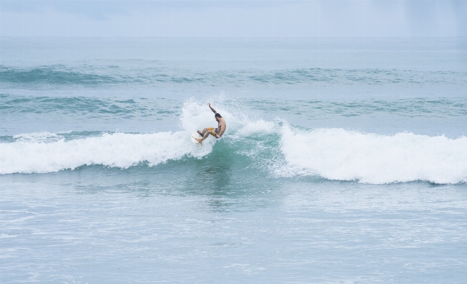 Beach sea coast water Photo