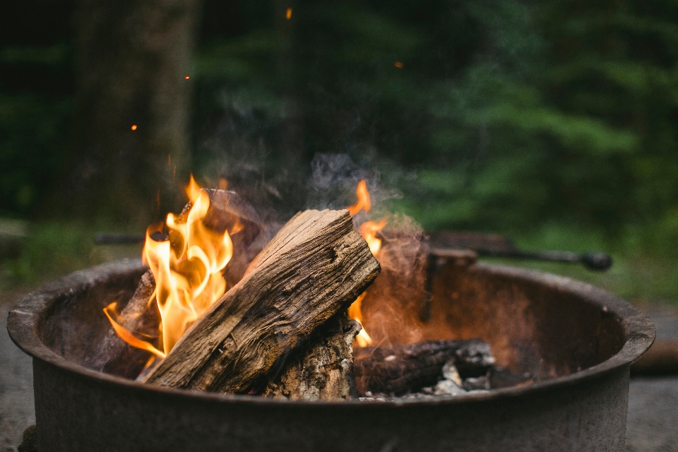 Wood log fire campfire