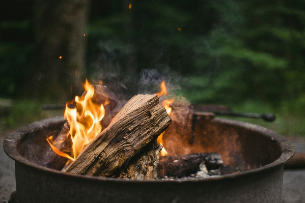 Wood log fire campfire Photo