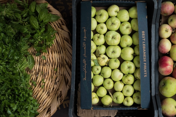 Foto Apple plantar fruta comida