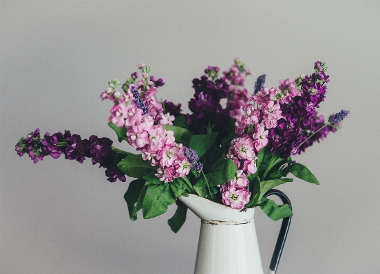 Branch blossom plant flower Photo