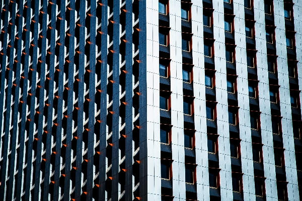 Architecture window building skyscraper Photo