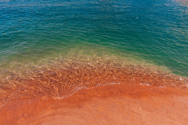 Beach sea coast water Photo