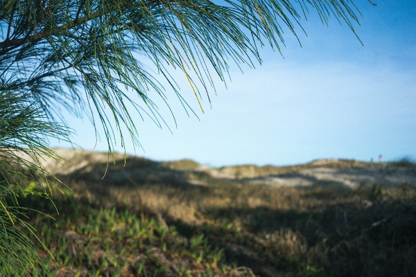 Beach landscape sea coast Photo