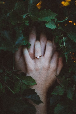 Hand tree grass branch Photo