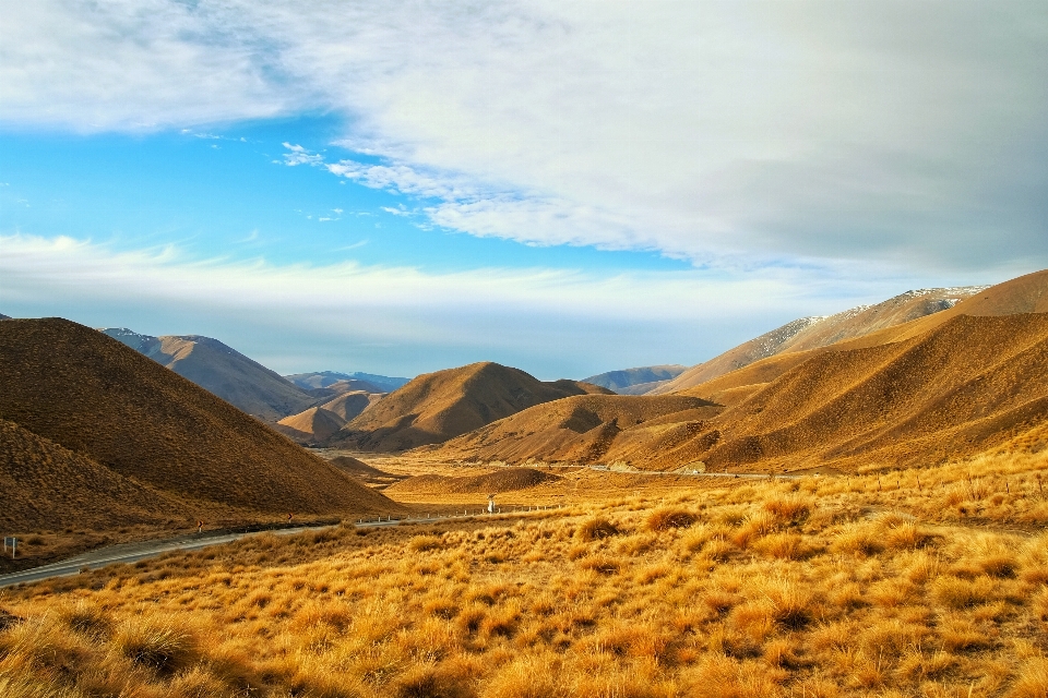 Landscape nature grass horizon