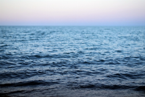 海滩 海 海岸 水 照片