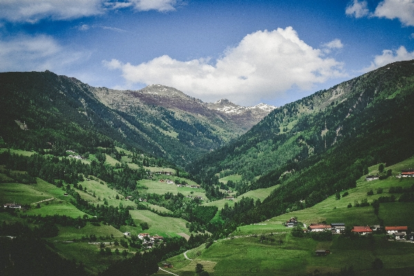 Foto Paisagem árvore natureza montanha