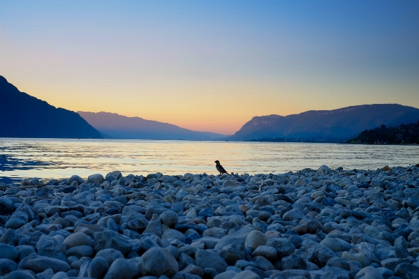 Beach sea coast sand Photo