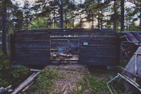 Forest wood house barn Photo