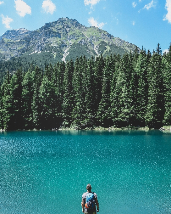 Forest wilderness mountain lake