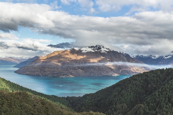 Landscape sea nature forest Photo