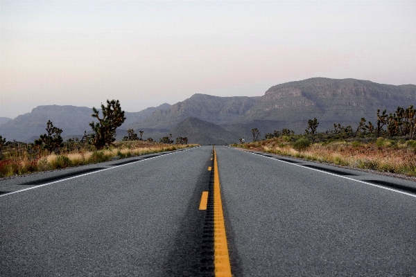 Tree horizon mountain road Photo