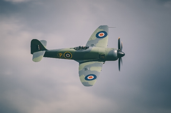 Wing sky fly airplane Photo