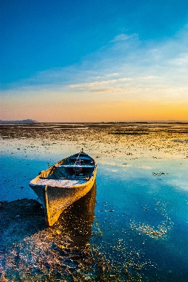 Beach sea coast water Photo