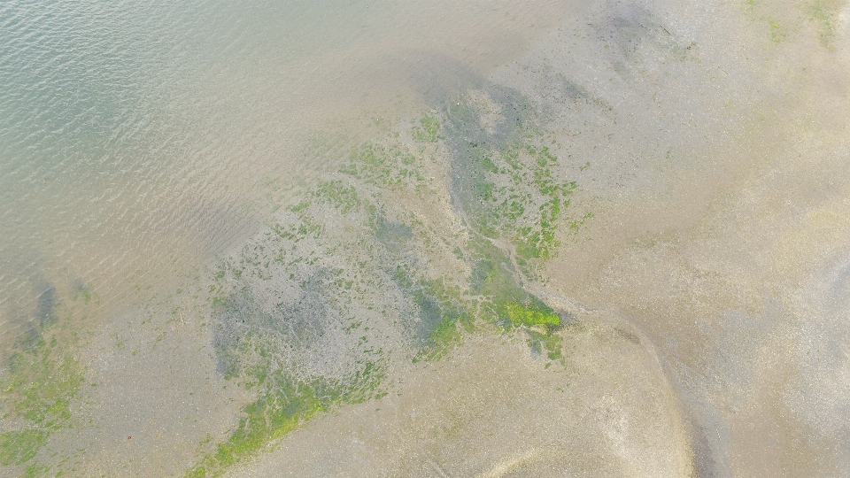 海 海岸 沙 质地